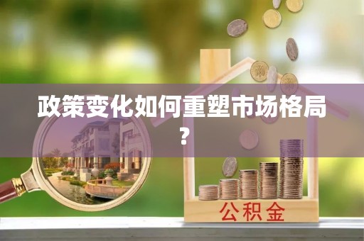 屯留政策变化如何重塑市场格局？