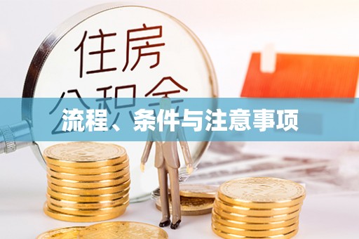屯留流程、条件与注意事项